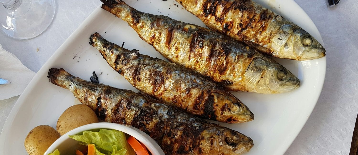 Sardines